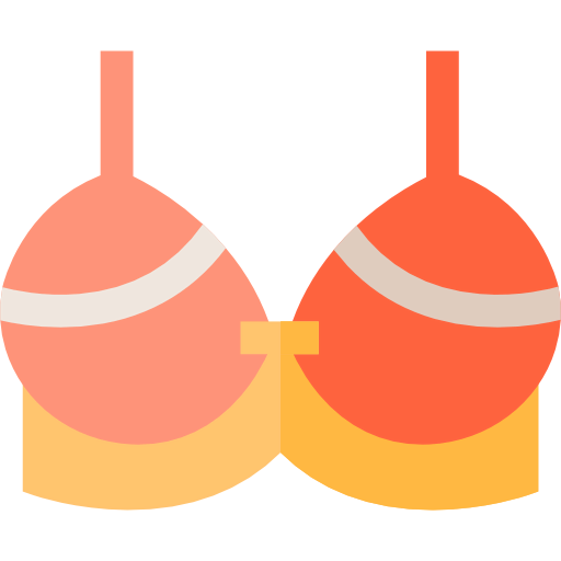Bra Ikona