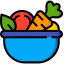Salad icon 64x64