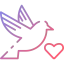 Dove icon 64x64