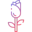 Rose icon 64x64