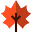 Maple leaf icon 64x64