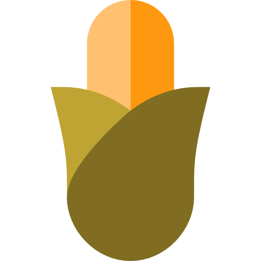Corn icon