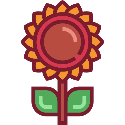 Sunflower icon