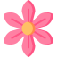 Flower icon 64x64