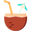 Coconut icon 64x64