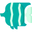 Fish icon 64x64
