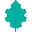 Leaf icon 64x64