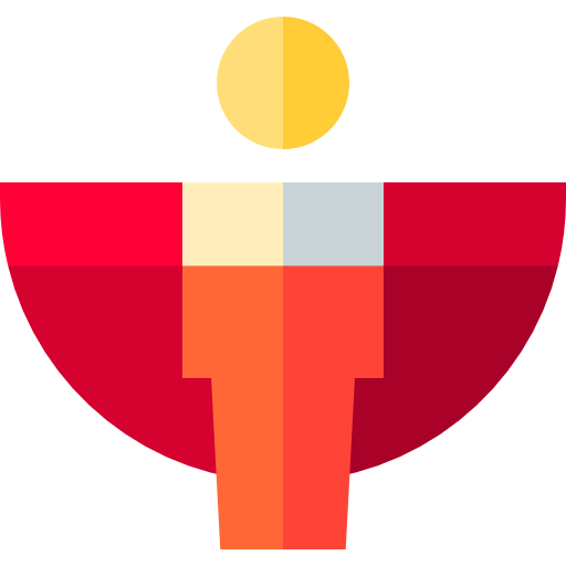 Flying icon