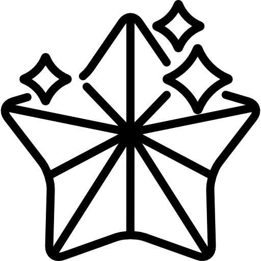 Star icon