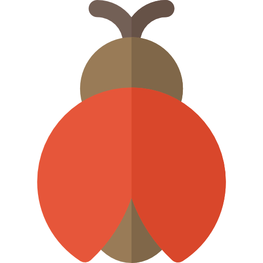 Ladybug icon