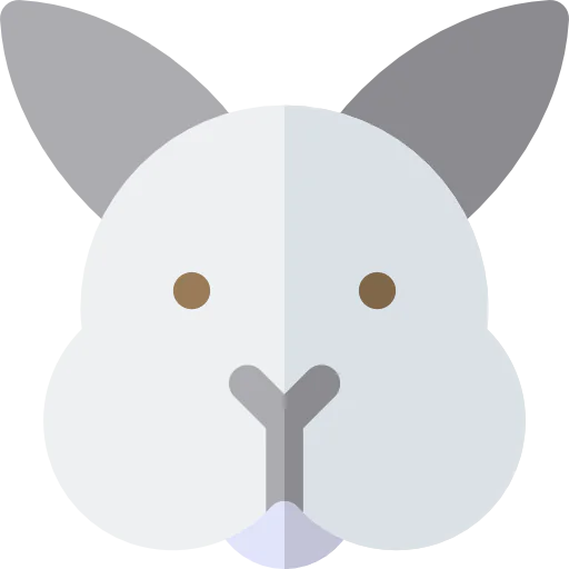 Rabbit icon