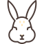 Rabbit icon 64x64