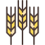 Wheat icon 64x64
