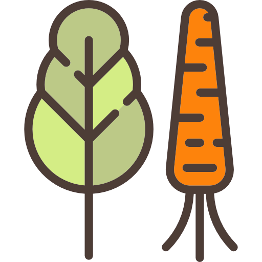 Vegetables icon