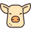 Pig icon 64x64