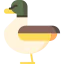 Duck icon 64x64