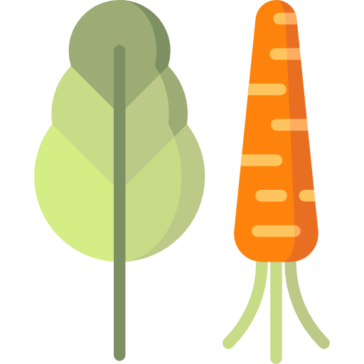 Vegetables icon