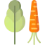 Vegetables icon 64x64