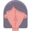 Rhinoplasty icon 64x64