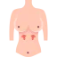 Breast icon 64x64