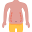 Liposuction Ikona 64x64