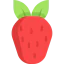 Berry icon 64x64