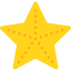 Starfish icon 64x64