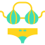 Bikini icon 64x64