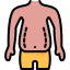 Liposuction Ikona 64x64
