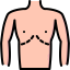 Abdominoplasty icon 64x64