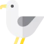 Seagull icon 64x64