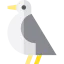Seagull icon 64x64