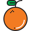 Orange icon 64x64