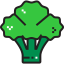 Broccoli icon 64x64