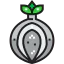 Onion icon 64x64