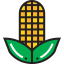 Corn icon 64x64