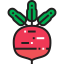 Radish icon 64x64