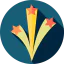 Fireworks icon 64x64
