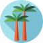 Palm tree icon 64x64