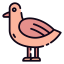 Seagull icon 64x64