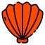 Shell icon 64x64