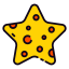 Starfish icon 64x64