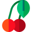 Cherry icon 64x64