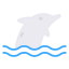 Dolphin icon 64x64