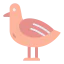 Seagull icon 64x64
