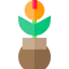 Plant icon 64x64