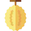 Durian icon 64x64