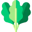 Vegan Ikona 64x64