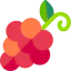 Grapes icon 64x64
