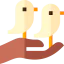 Birds icon 64x64